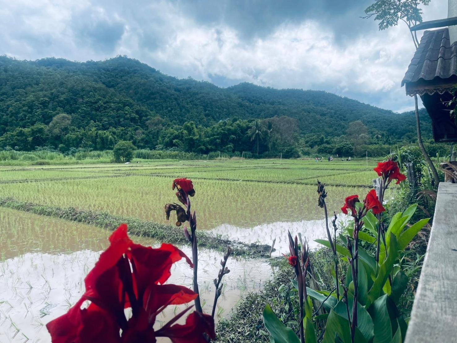 บ้านสวนวิวทุ่ง Ban Mae Sap Nua Exterior photo